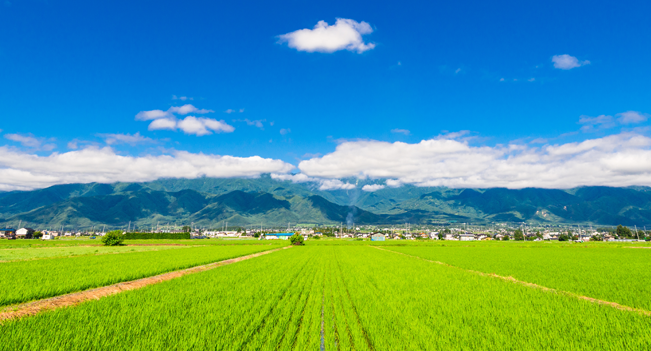 信濃培養土株式会社